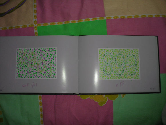 第五版的色盲测试图完整版-色盲测试图第五版及答案65