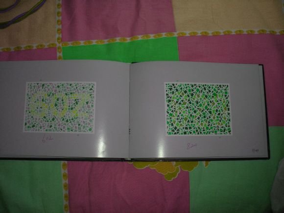 第五版的色盲测试图完整版-色盲测试图第五版及答案66