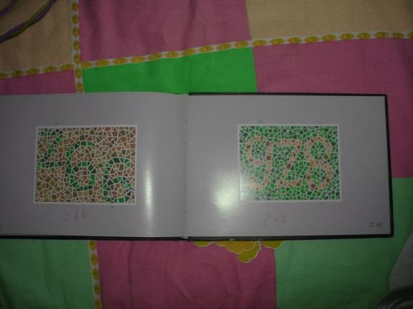 第五版的色盲测试图完整版-色盲测试图第五版及答案69