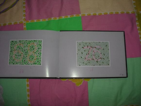 第五版的色盲测试图完整版-色盲测试图第五版及答案70