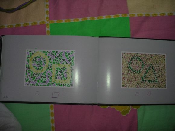 第五版的色盲测试图完整版-色盲测试图第五版及答案72