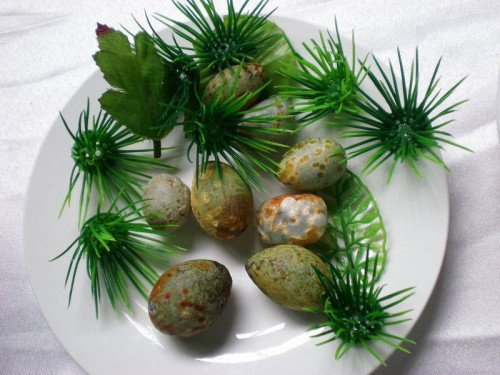 【整合】满汉全席菜谱108道高清图片5