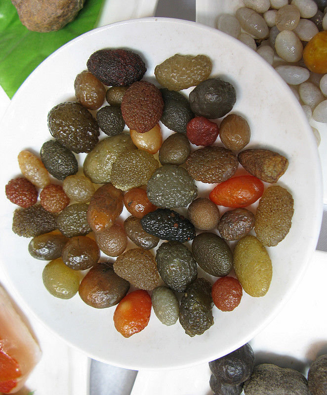 【整合】满汉全席菜谱108道高清图片18