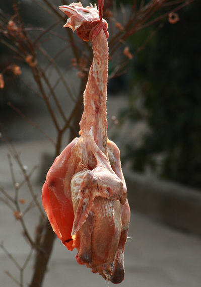 中国九大残忍菜-中国最残忍的9大菜肴，不喜慎入2