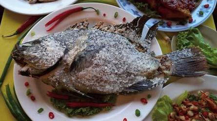 中国九大残忍菜-中国最残忍的9大菜肴，不喜慎入4