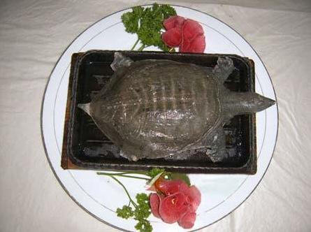 中国九大残忍菜-中国最残忍的9大菜肴，不喜慎入6