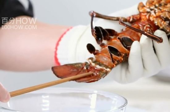 波士顿龙虾怎么处理-图解波士顿龙虾的清洗方法3