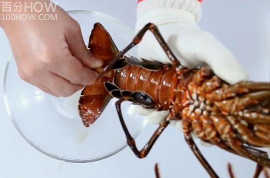 波士顿龙虾怎么处理-图解波士顿龙虾的清洗方法4