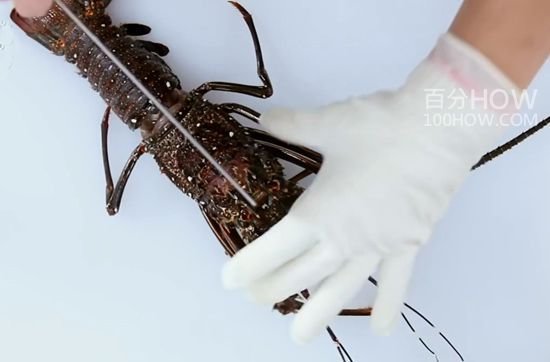 波士顿龙虾怎么处理-图解波士顿龙虾的清洗方法8