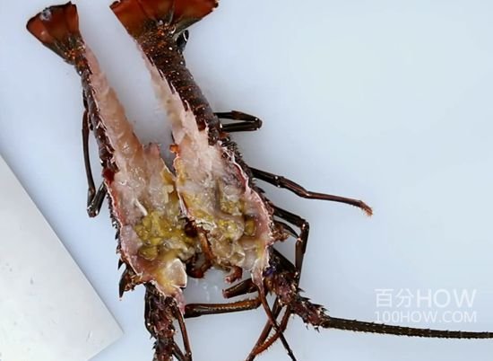 波士顿龙虾怎么处理-图解波士顿龙虾的清洗方法9