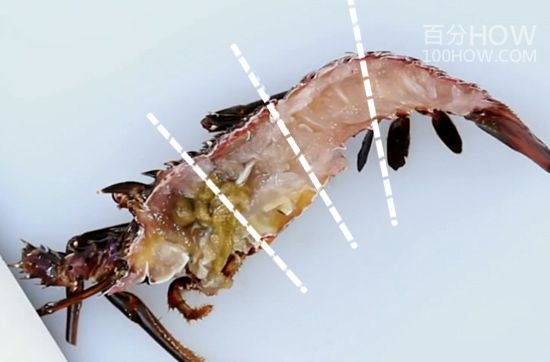波士顿龙虾怎么处理-图解波士顿龙虾的清洗方法11