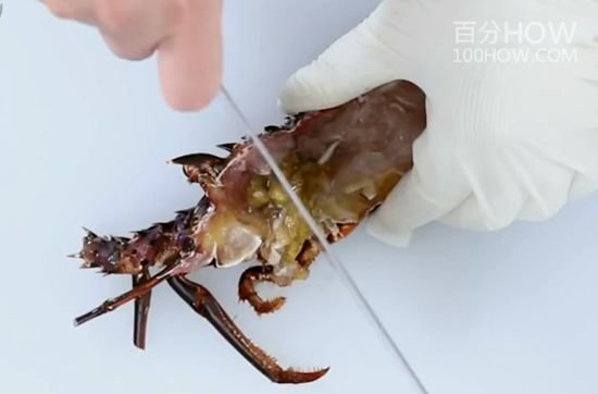 波士顿龙虾怎么处理-图解波士顿龙虾的清洗方法12