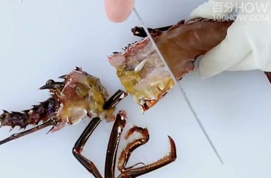 波士顿龙虾怎么处理-图解波士顿龙虾的清洗方法13
