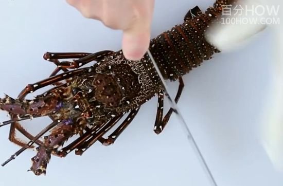 波士顿龙虾怎么处理-图解波士顿龙虾的清洗方法17