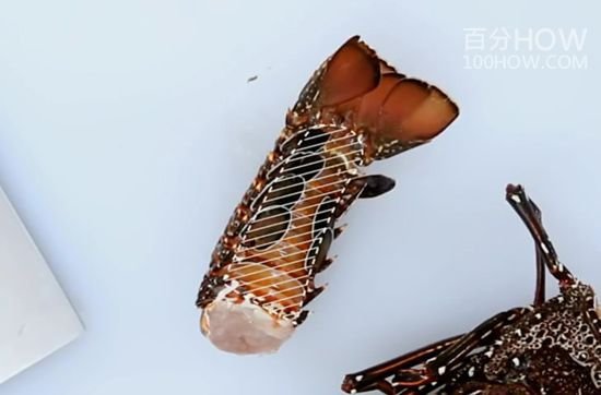 波士顿龙虾怎么处理-图解波士顿龙虾的清洗方法18