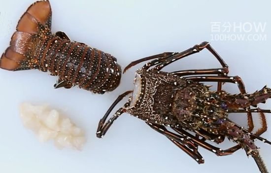 波士顿龙虾怎么处理-图解波士顿龙虾的清洗方法23