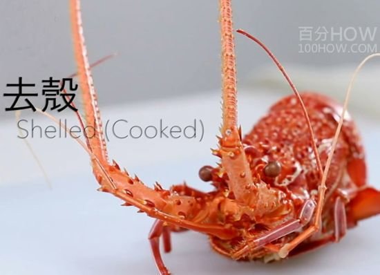 波士顿龙虾怎么处理-图解波士顿龙虾的清洗方法24