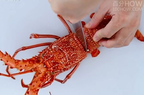波士顿龙虾怎么处理-图解波士顿龙虾的清洗方法27