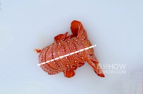 波士顿龙虾怎么处理-图解波士顿龙虾的清洗方法28