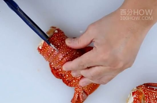 波士顿龙虾怎么处理-图解波士顿龙虾的清洗方法29