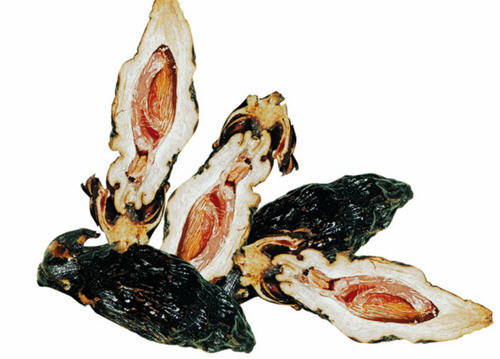 吃槟榔为什么会出汗-吃槟榔为什么会冒汗的原因3