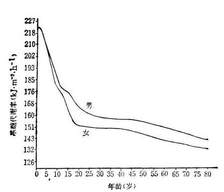 基础代谢率的正常范围-基础代谢率正常值是多少1