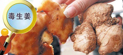 毒姜怎么辨别-毒生姜的辨别方法图解1