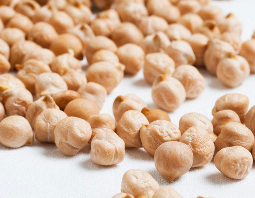 鹰嘴豆的产地-鹰嘴豆是什么地方的食物