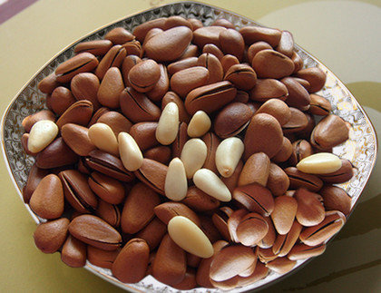 松子的副作用说明2