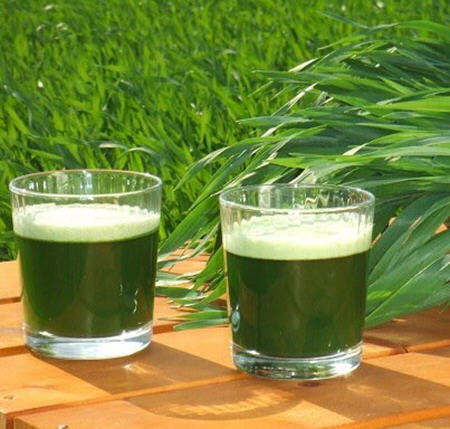 青汁的副作用讲解4
