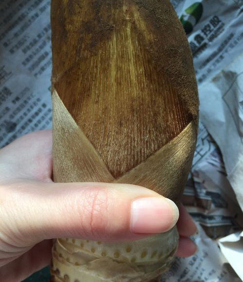 冬笋剥皮几层才不浪费-冬笋剥皮拨到什么程度2