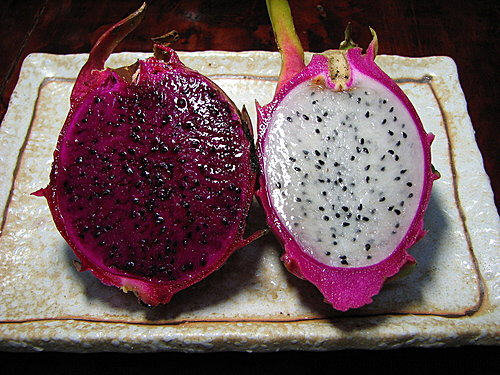 图文教程：阳台火龙果盆栽怎么种1