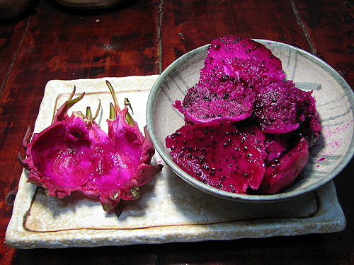 图文教程：阳台火龙果盆栽怎么种2