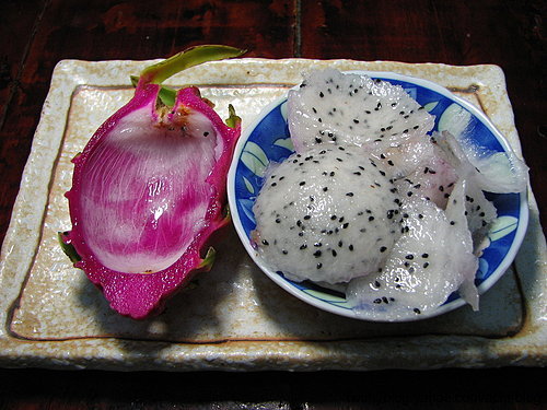 图文教程：阳台火龙果盆栽怎么种3