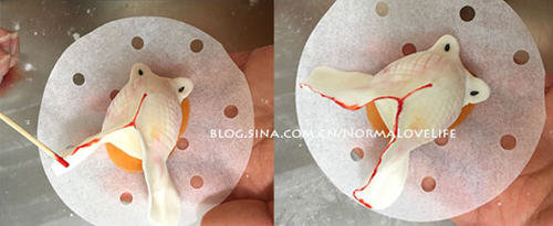 年夜饭菜：八珍盛宴锦鱼满堂(奶黄金鱼果)8