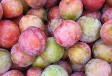 李子热量-李子的营养价值(每100克)2