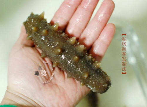 收集的【最方便、最节能】海参发制方法1