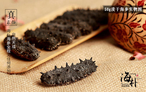 收集的【最方便、最节能】海参发制方法3