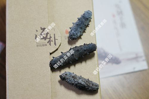 收集的【最方便、最节能】海参发制方法6