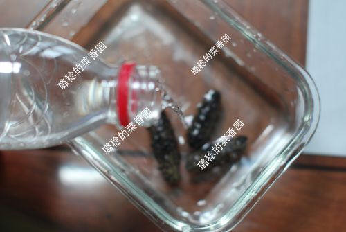 收集的【最方便、最节能】海参发制方法7