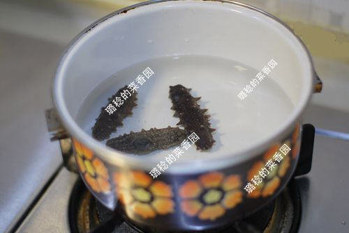 收集的【最方便、最节能】海参发制方法12