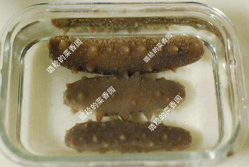 收集的【最方便、最节能】海参发制方法14