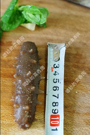 收集的【最方便、最节能】海参发制方法15