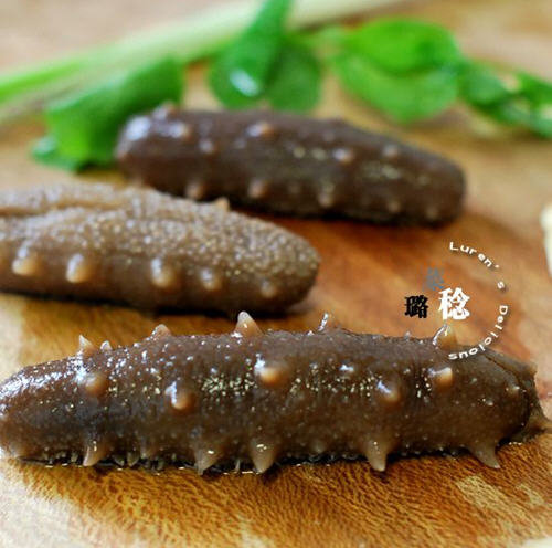 收集的【最方便、最节能】海参发制方法18