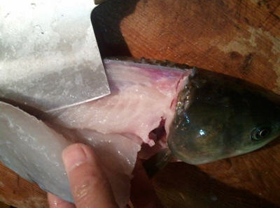 正宗沸腾鱼的做法-家常沸腾鱼怎么做好吃图解3