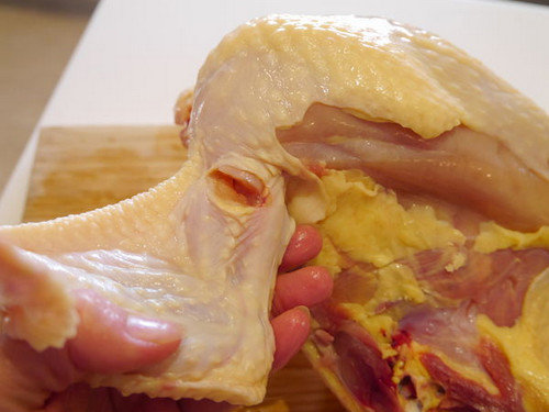 怎么杀鸡子？三分钟支解全鸡的图文教程8