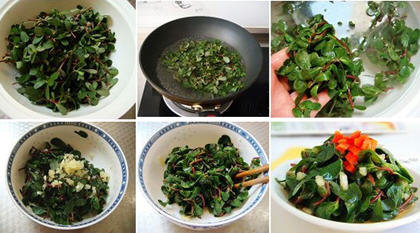 凉拌马齿苋1