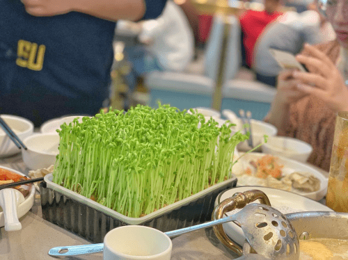 爱上冬天、从这锅热气腾腾的猪肚包鸡开始！9