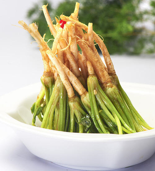 菠菜根可以吃吗？菠菜的根能吃吗？