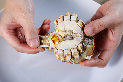 【图文教程】大闸蟹正确的吃法-清蒸大闸蟹怎么吃6